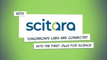 A New Vision of Digital Transformation