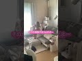 #アラサーギャルママの夏休みVlog