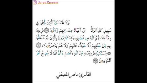القارئ ماهر المعيقلي - سورة آل عمران - من الآية 169 إلى الآية 171
