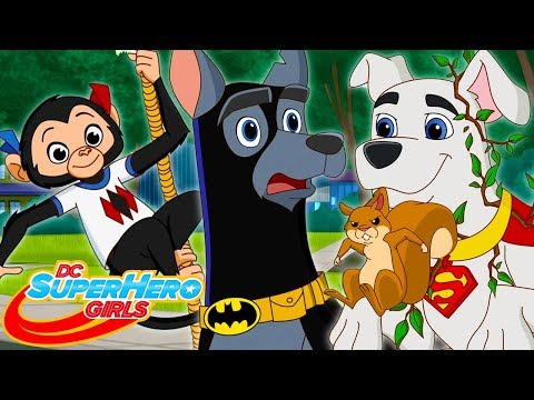 Las supermascotas de DC Super Hero Girls! | DC Super Hero Girls Latino America - Las supermascotas de DC Super Hero Girls! | DC Super Hero Girls Latino America