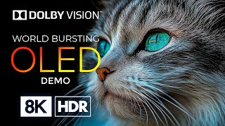 Dolby Vision Ile Oled 8K Hdr 60 Fps Renklerle Dolu Bir Dünyayı Deneyimleyin