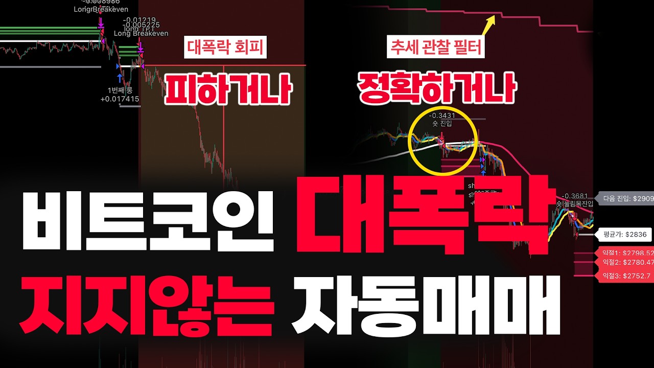 대폭락 와도 버틸까? 비트코인 선물 자동매매 전략의 현실적 데이터 - YouTube