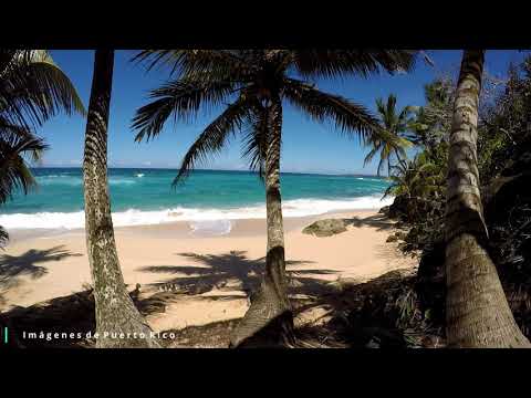 Sonidos de Puerto Rico | Playa Ojo de Agua - Este