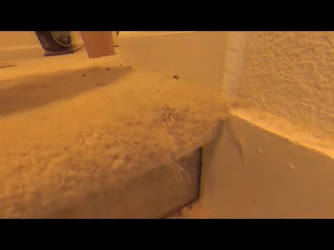 Video: Bagaimana cara memperbaiki karpet tangga yang berderit?