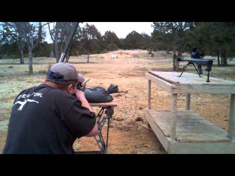 Tannerite and Hogs