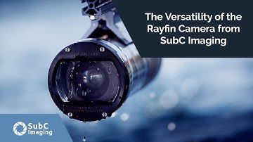 The Versatility of the Rayfin Camera from SubC Imaging