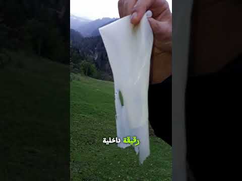 هل يمكن أكل لحاء الشجر 