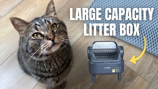 Testing the OneIsAll Ease S1 Litter Box (is it worth the hype?)