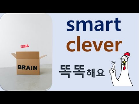 Q5 English 어휘 Lesson 210 (Clever vs Smart - 재치있는, 똑똑한, 머리 좋은)