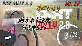 「DiRT Rally 2.0」23