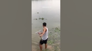 Màn vớt cá có 1 0 2 của anh kỹ sư điện tử viễn thông #shortvideo #cauca