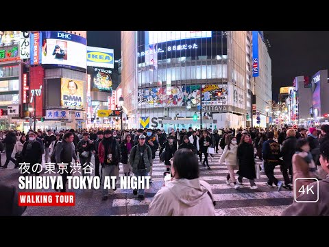 Shibuya Tokyo at Night (夜の東京渋谷) : Walking Tour (4K / ASMR)