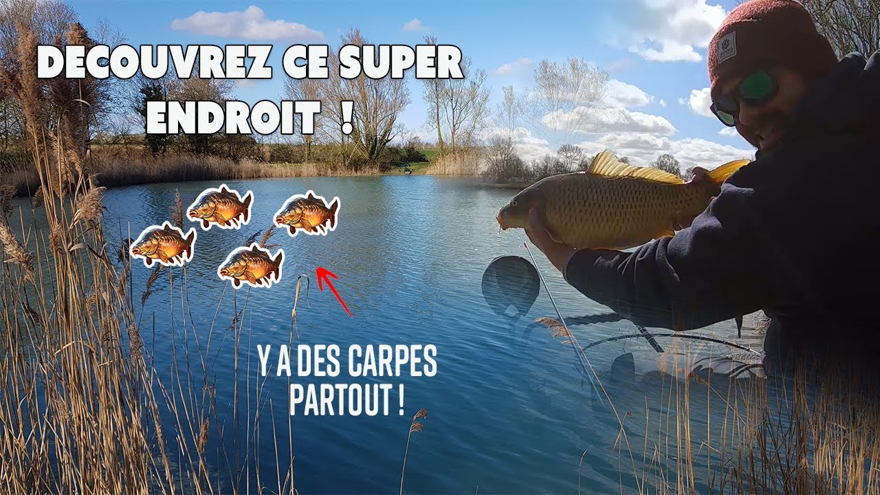 MANCHE D'EPUISETTE CARPE REDVOLUTION PRIME GOLD MILO