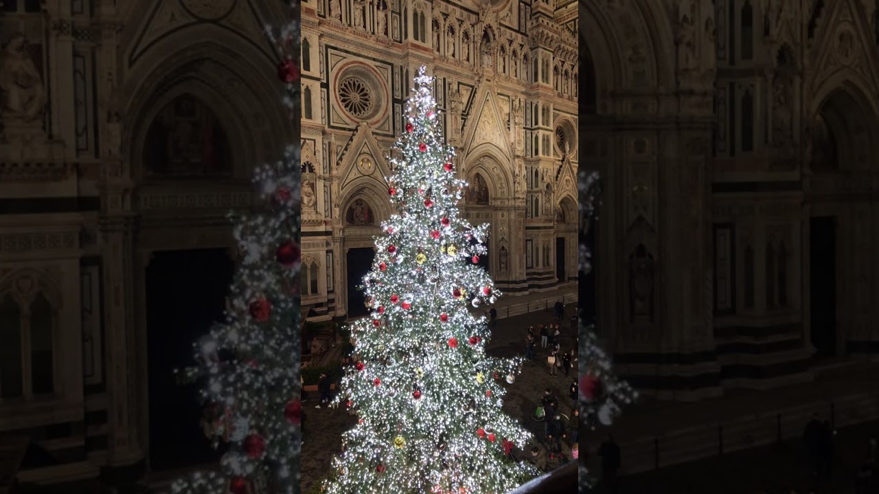 Florence Duomo Christmas Tree 2020