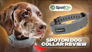 SpotOn GPS Fence Review: Is It The ONLY Smart Collar You'll Need?