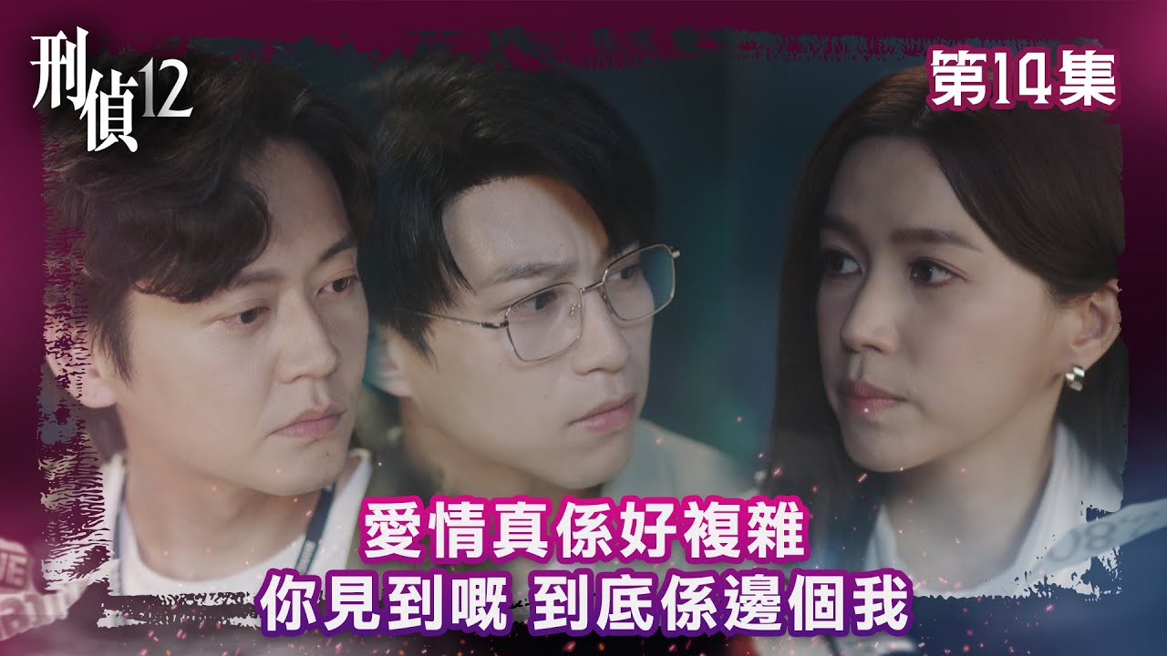 刑偵12｜愛情真係好複雜 你見到嘅到底係邊個我｜第14集精華｜警匪｜懸疑｜#TVBUSA #TVB港劇精華