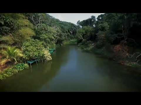 Le Tourisme En République Démocratique Du Congo, Une Destination De Rêve .