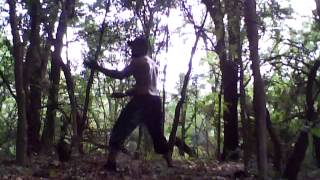 Capture 20120507 1