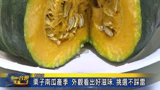 栗子南瓜產季 外觀看出好滋味 挑選不踩雷