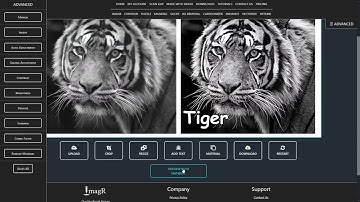 Image processing for laser engraving with ImagR