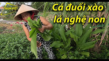 Cá đuối xào lá nghệ non - Nam Việt