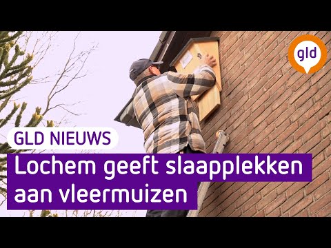 Harrie zorgt voor slaapplekken voor vleermuizen