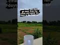 కల్తీ లేని ప్రపంచంలో ఓ రోజు( A day in an unadulterated world)#villagenature #organicmilk #pureair