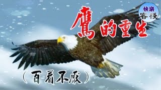鷹的重生(百看不厭)|心靈勵志|快樂客棧 鷹的重生(百看不厭)|心靈勵志|快樂客棧