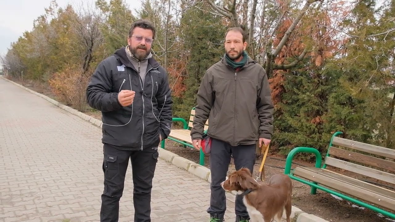 Bir Köpeğin İtaat Eğitim Dersi Nasıl Oluyor