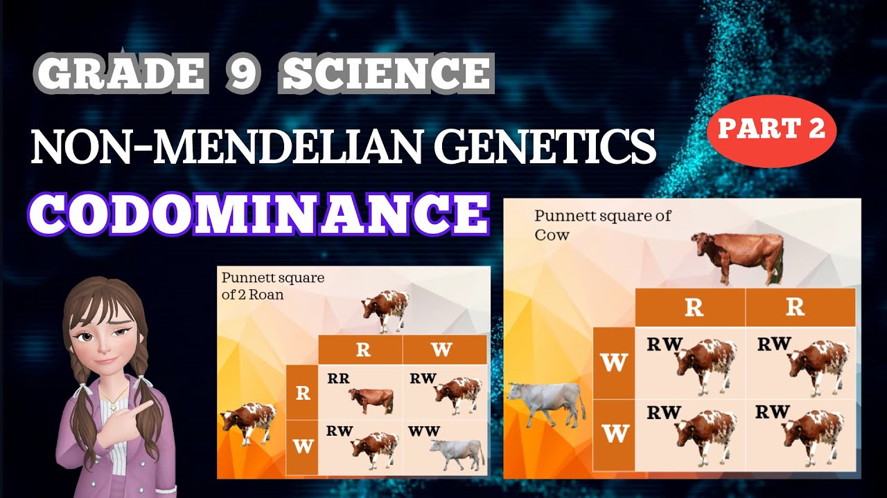 NON MENDELIAN GENETICS CODOMINANCE GRADE 9 SCIENCE BIOLOGY YouTube NON MENDELIAN GENETICS CODOMINANCE GRADE 9 SCIENCE BIOLOGY YouTube