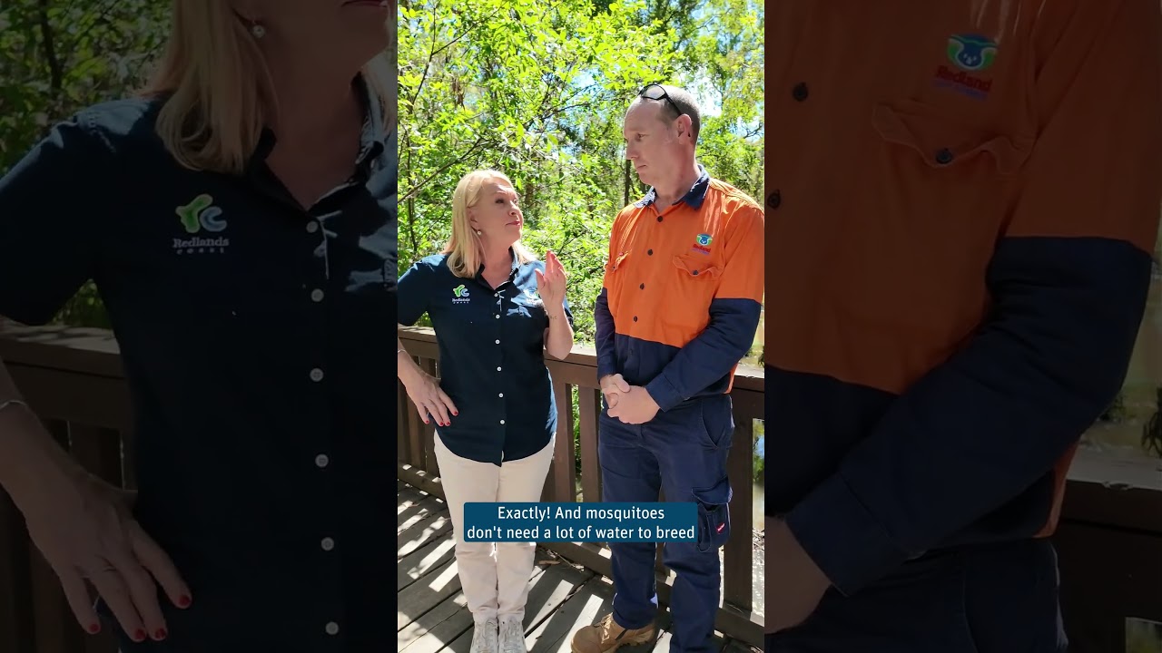 🦟 Советы о том, как уменьшить размножение комаров вокруг вашего дома в этот сезон комаров!