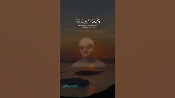تلاوه من الشيخ المنشاوي🤍 #قران_كريم #اكسبلور #قرآن #دويتو #لايك #راحة_نفسية #quran #المنشاوي