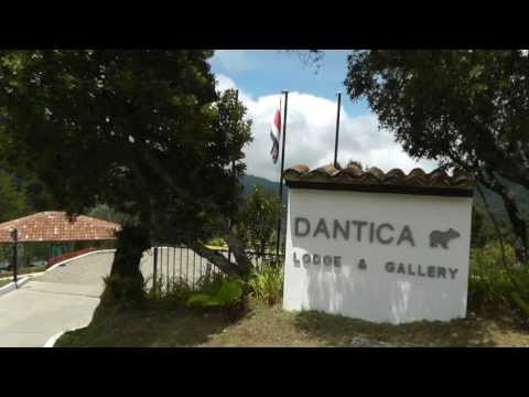 Video: Das Tal der Quetzals in Costa Rica