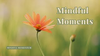 Mindful Moments | Tibetan Flute Music for Inner Calm, Clarity & Presence