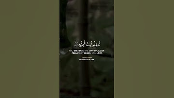 سورة آل عمران | الشيخ ناصر القطامي