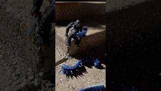 Unboxing My New Figures Tiamat, One Eye, And The Drown Viper.