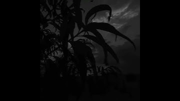 حالات واتس||القارئ/اسلام صبحي||سورة/ال عمران||تصاميم قران||انستقرام||استوري||
