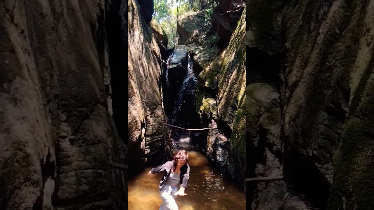 Things are beautiful if you love them.😍 #nature - YouTube