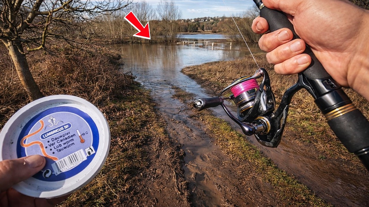 Pêcher au vers de terres pendant la FERMETURE ET LES CRUES , c’est possible ??? 
