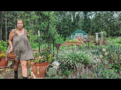 Growing and Harvesting a Cottage Garden | Planting, Building & Putting Up the First Harvest