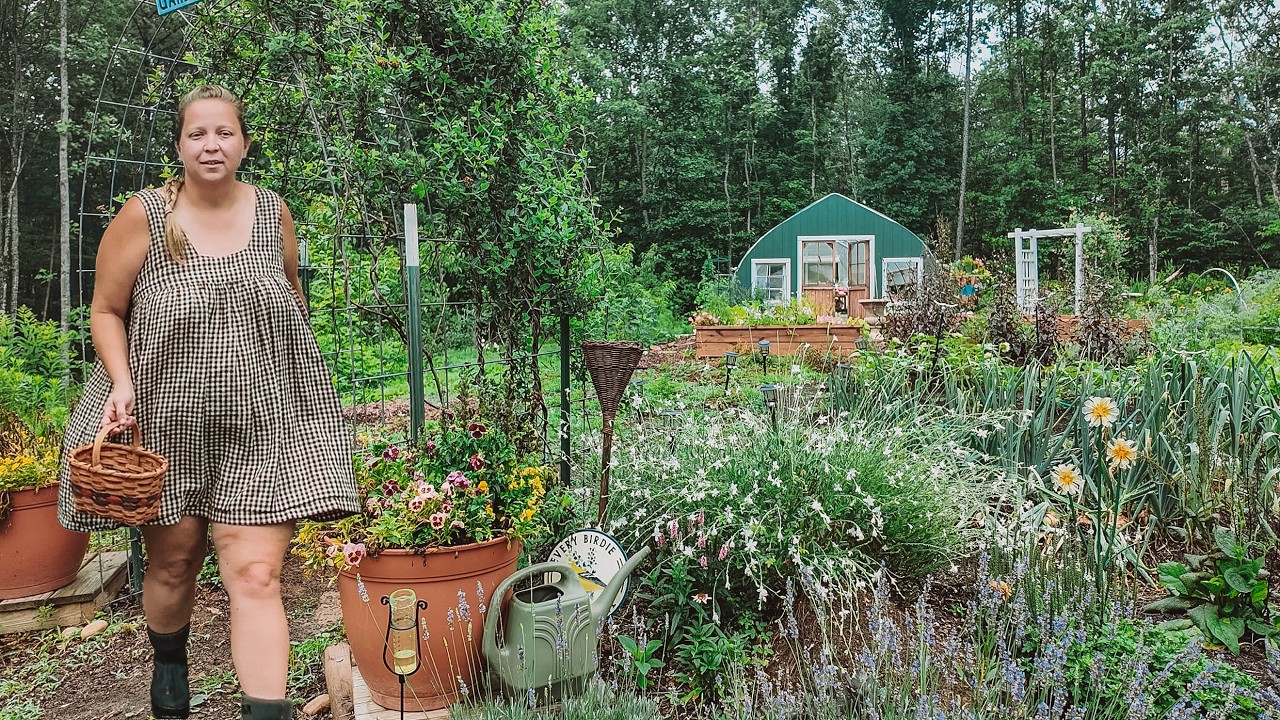 Growing and Harvesting a Cottage Garden | Planting, Building & Putting Up the First Harvest