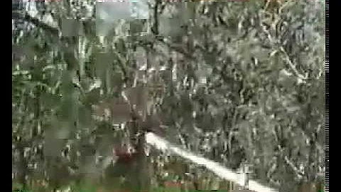 patients have not been functioning at their fullest potential. Families