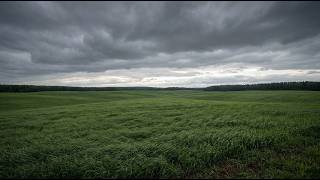 Overcast Fields — Meditative Slow Ambient Music (1 Hour)