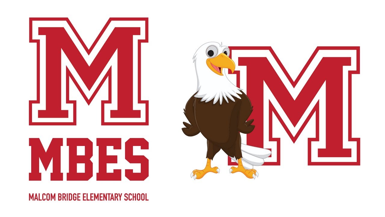 Bridge Elementary School Feature YouTube