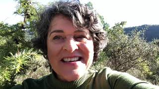Learn about Juniper Essential Oil with Lorrie Hargis RA!