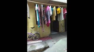 Bila Cinta Mulai Bersemi  Nike Ardilla  Lagu21