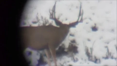 October Wyoming Rifle Hunt - MonsterMuleys.com