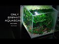 How to Make A Aquascape Without Soil And Without co2 | Step By Step Aquascaping Tutorial