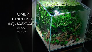 AQUASCAPE WITHOUT SOIL | STEP BY STEP SETUP | AQUASCAPING TUTORIAL