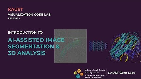 AI Assisted Image Segmentation and 3D Analysis using Avizo and Ilastik